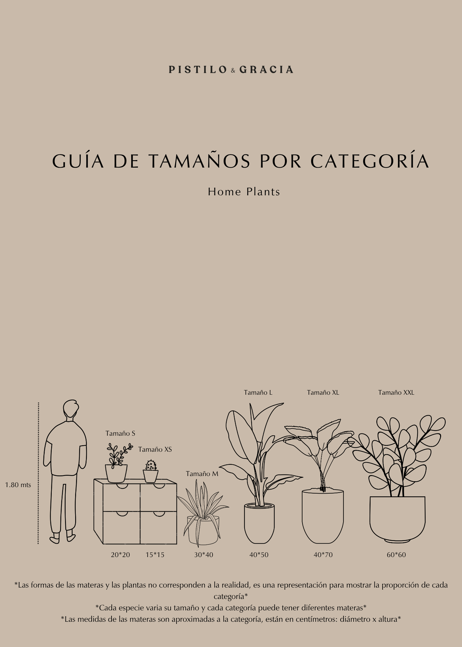 Caucho Morado · XL - Pistilo & Gracia