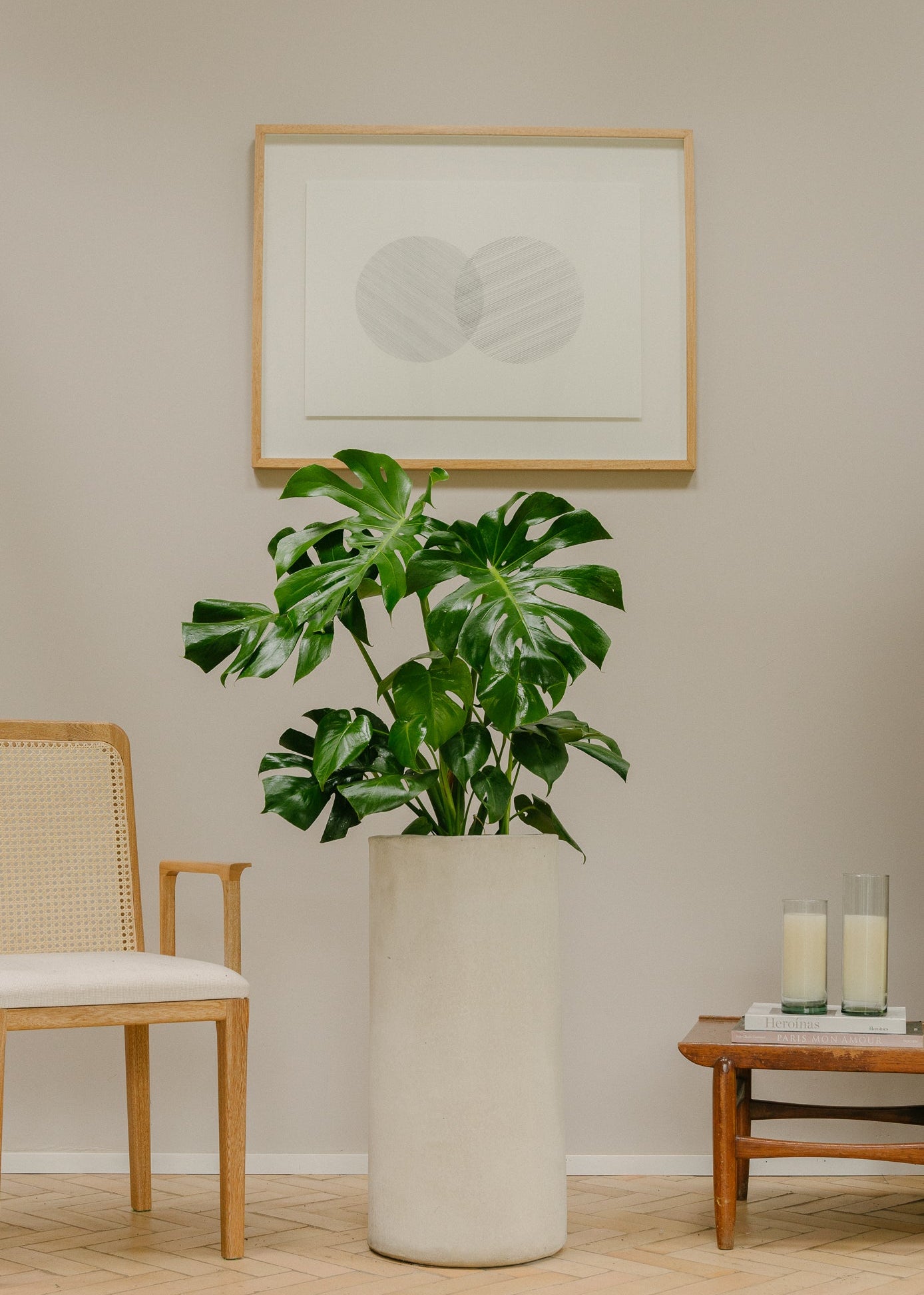 Planta Balazo XL en matera Cilindro Opal de 35 x 70 cm, vista ambientada