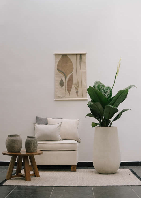 Matera Gota Lora XL de 35 x 70 cm, ambientada con planta Spatofilio. Planta no incluida