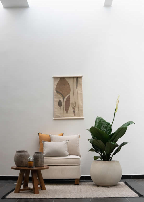 Planta Spatofilio XL en matera Buchona de 40 x 40 cm, vista interior