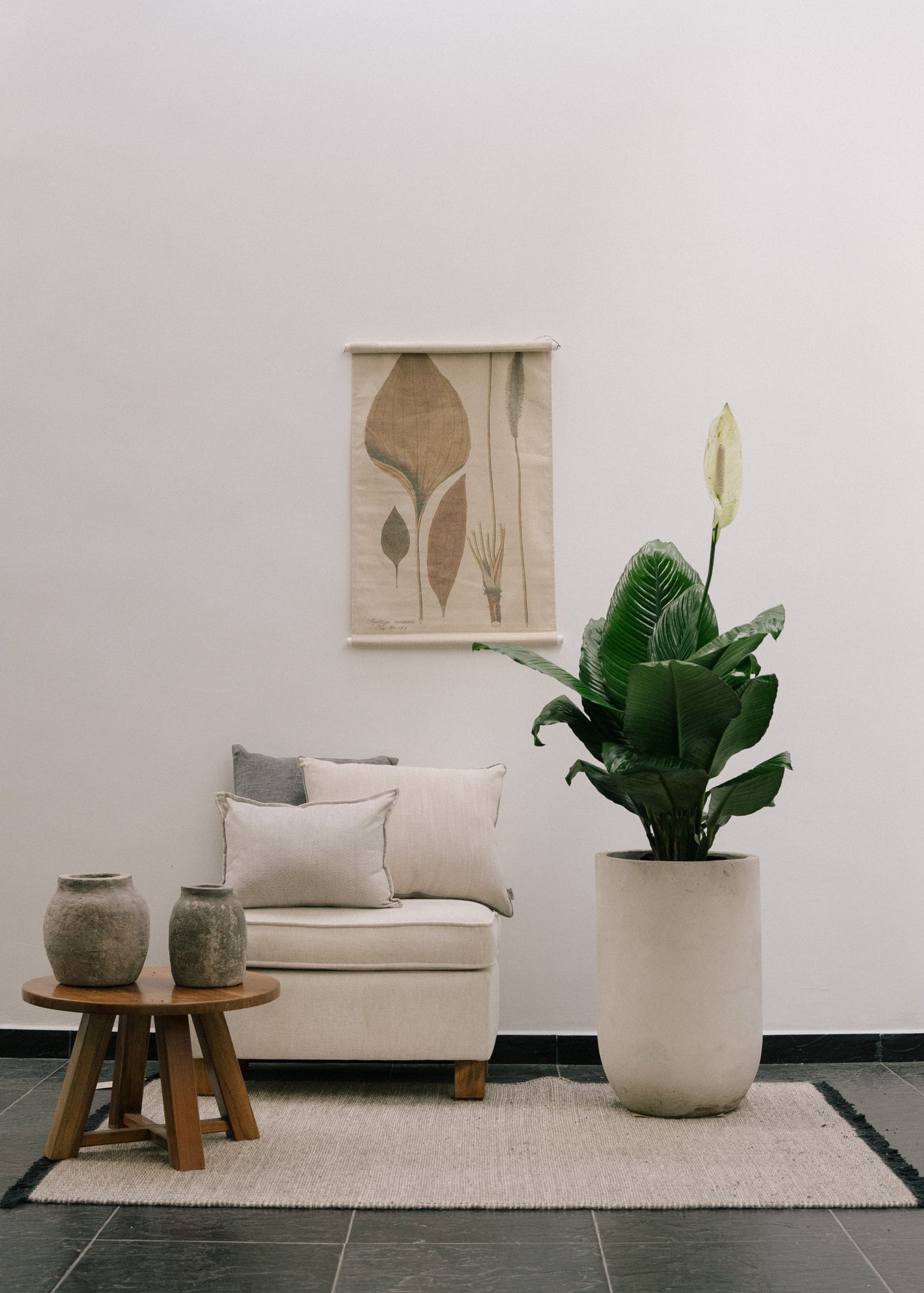 Planta Spatofilio XL en matera Curva Arabia de 40 x 70 cm, vista interior