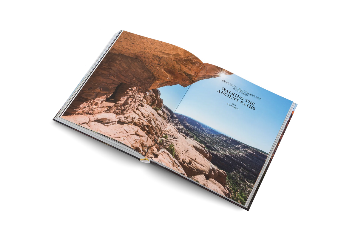 Libro Wanderlust USA - Pistilo & Gracia