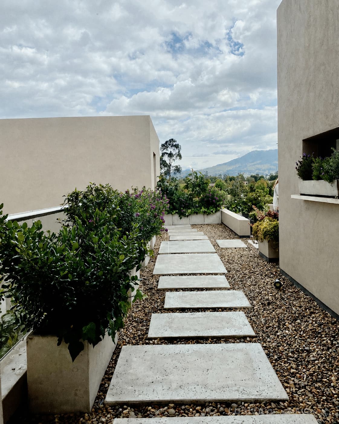 Después del mantenimiento en terraza de Casa Tagua, con materas rectangulares, cubos y follaje denso junto al camino de piedra.