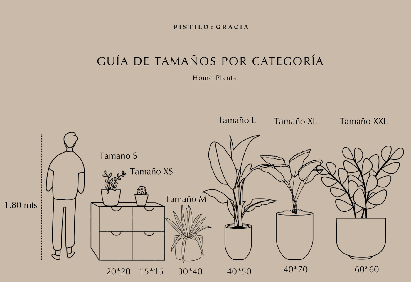 Guía de tamaños de Ají de colores · XS