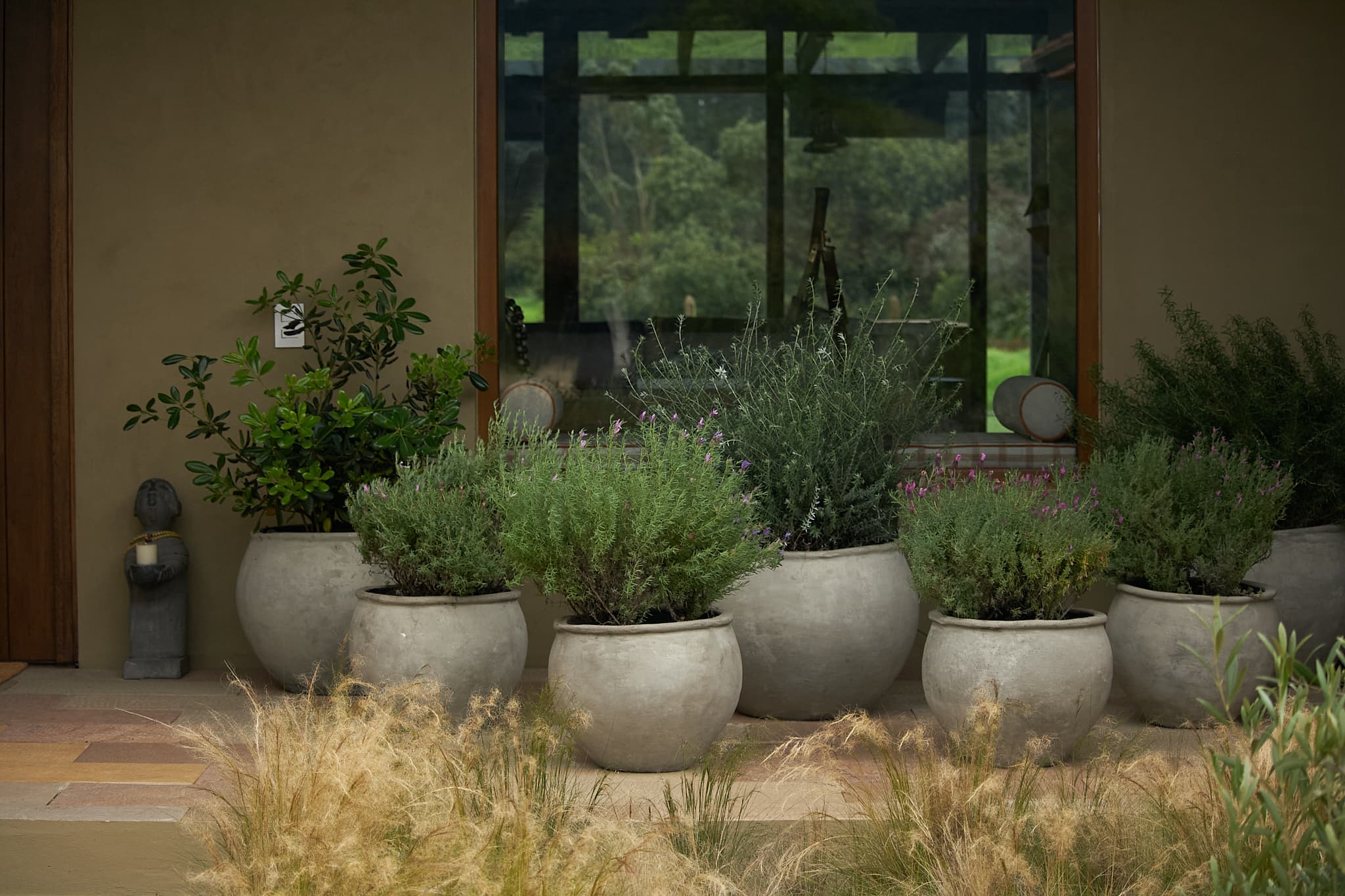 Materas con plantas y vegetación ornamental frente a una fachada de vidrio en ambiente de estudio botánico.