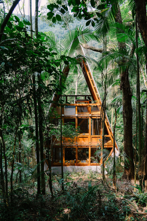 Libro Cabin Fever - Pistilo & Gracia
