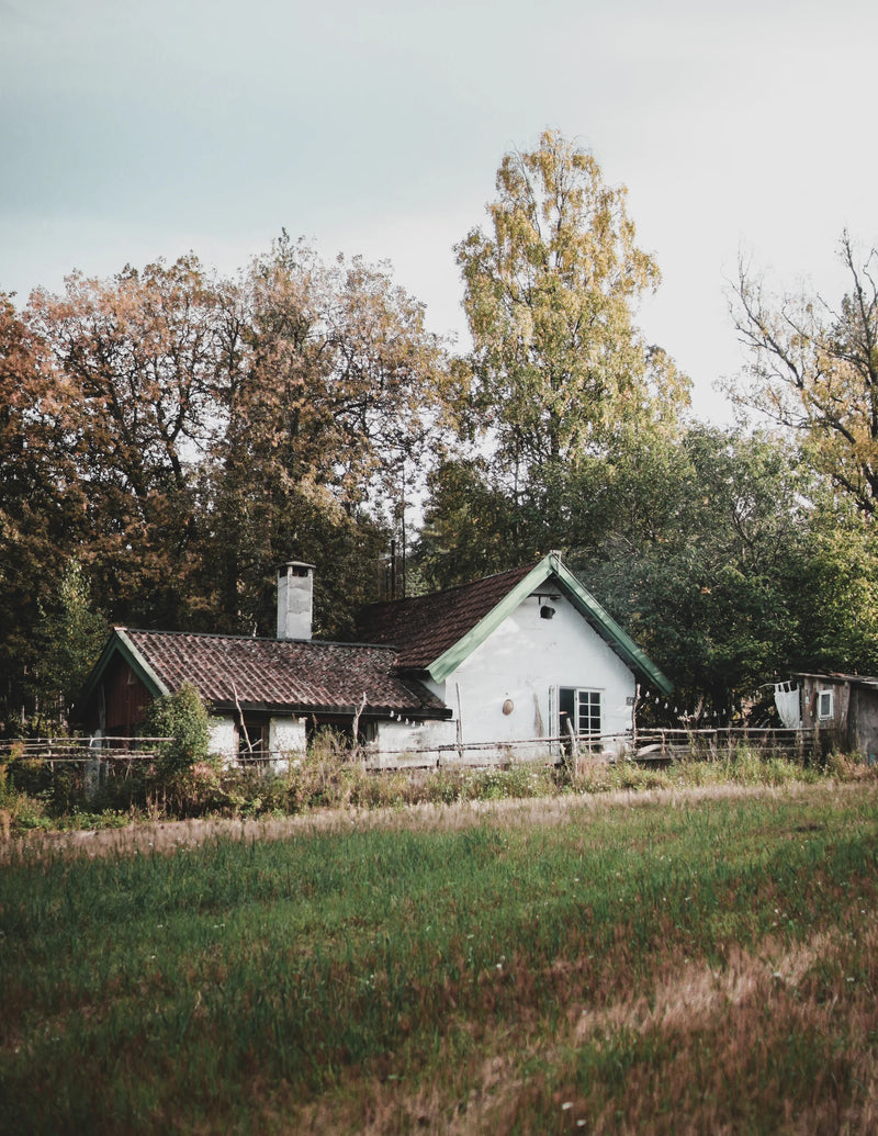 Libro Country & Cozy - Pistilo & Gracia