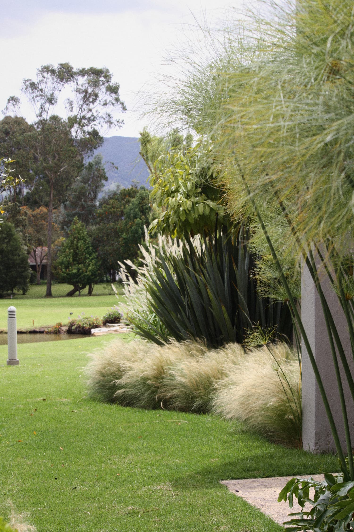 Jardín residencial con gramíneas ornamentales, árboles y vegetación en una casa de campo.