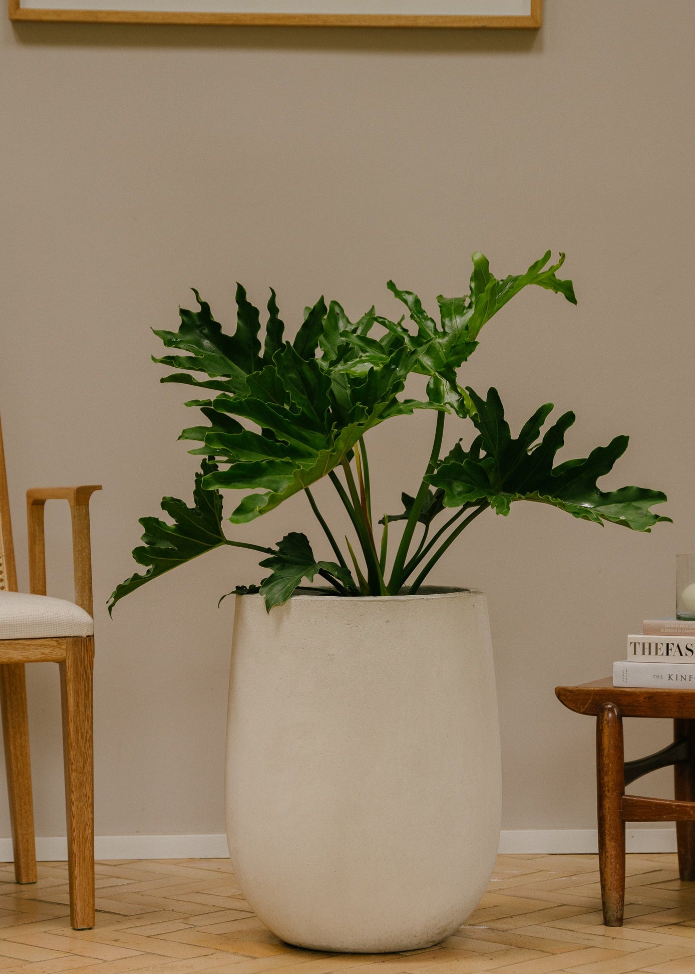 Planta Filoendro L en matera Curva Arabia de 40 x 50 cm, vista ambientada