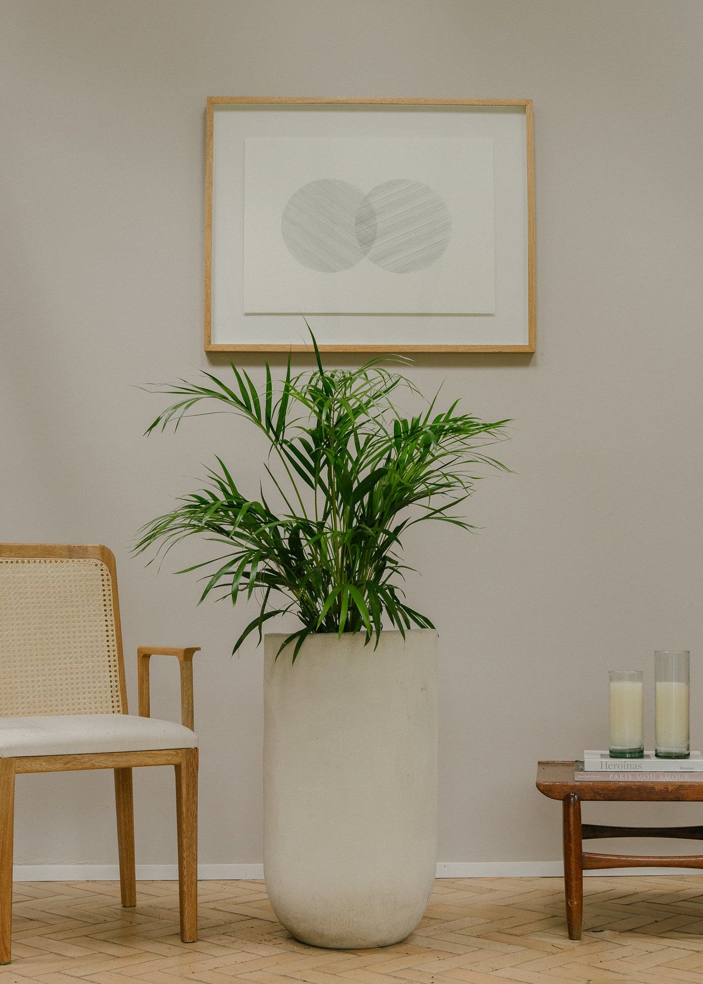 Planta Palma Japonesa XL en matera Curva Arabia de 40 x 70 cm, vista ambientada