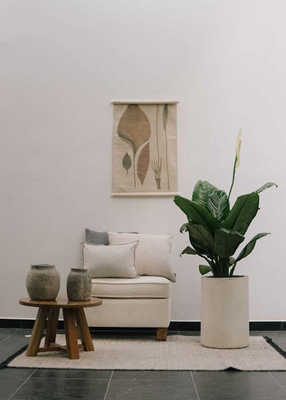 Planta Spatofilio L en matera Cilindro de 35 x 50 cm, vista interior
